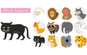 黒ヒョウタイプの性格【動物占い】