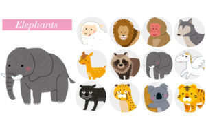 ゾウタイプの性格【動物占い】