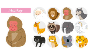 サルタイプの性格【動物占い】