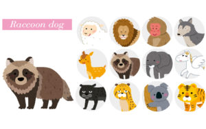 たぬきタイプの性格【動物占い】