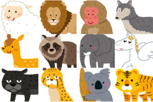 動物占い【あなたの生年月日を使って60タイプから性格・運勢を診断】